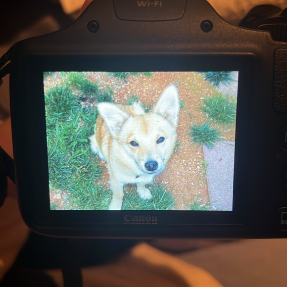 Canon powershot SX530 HS - Picture 6 of 7